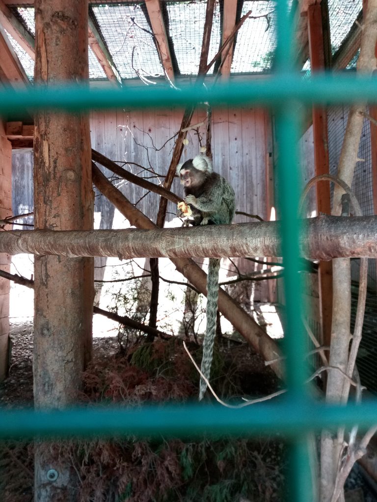 Cages with various animals at the entrance