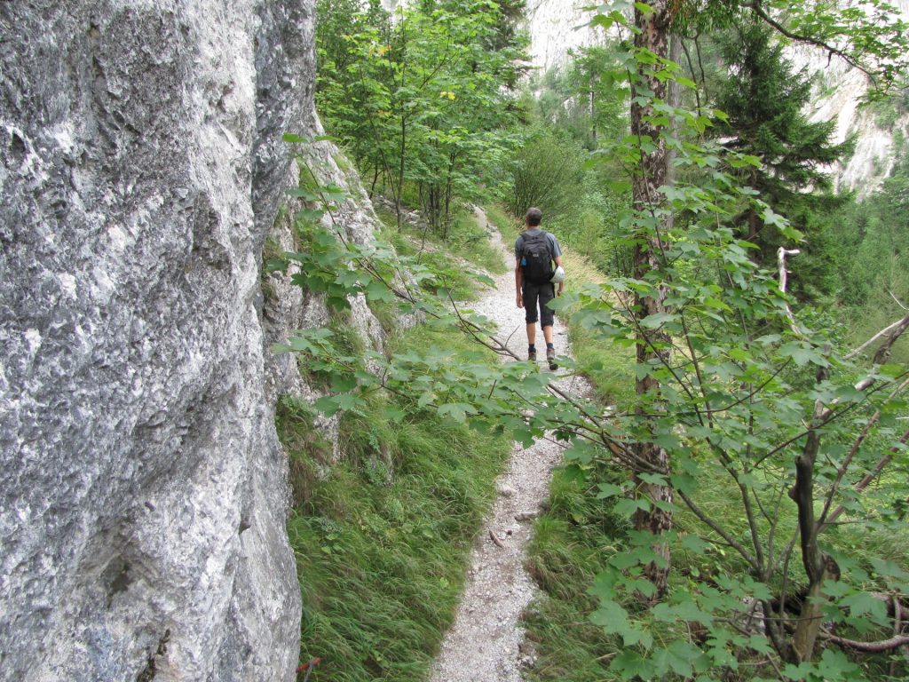 Trail through the Höllental