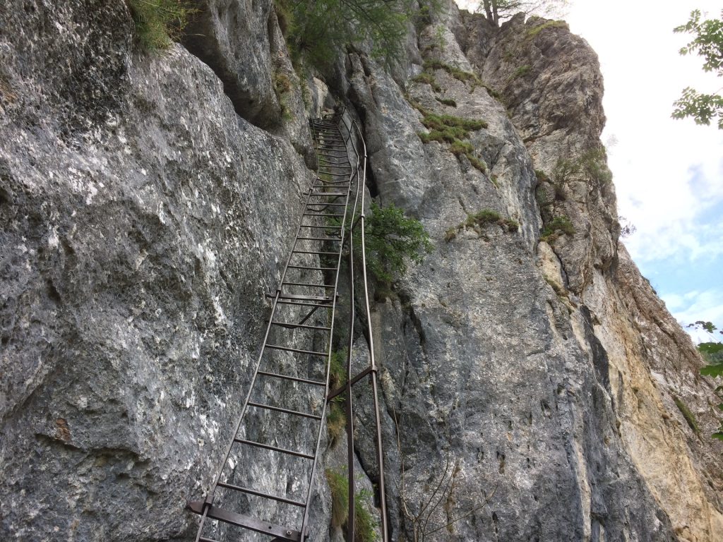 AV-Steig Ladder