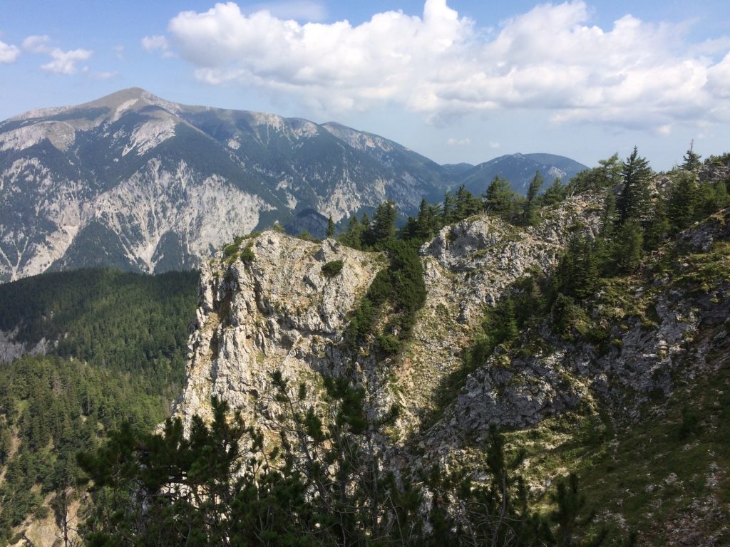 View towards the Schneeberg