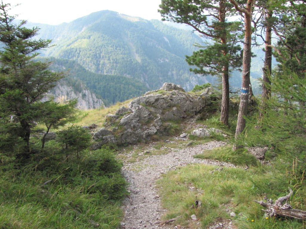 Wachthüttelkamm track