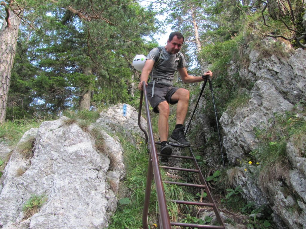 One of the many ladders on the Wachthüttelkamm