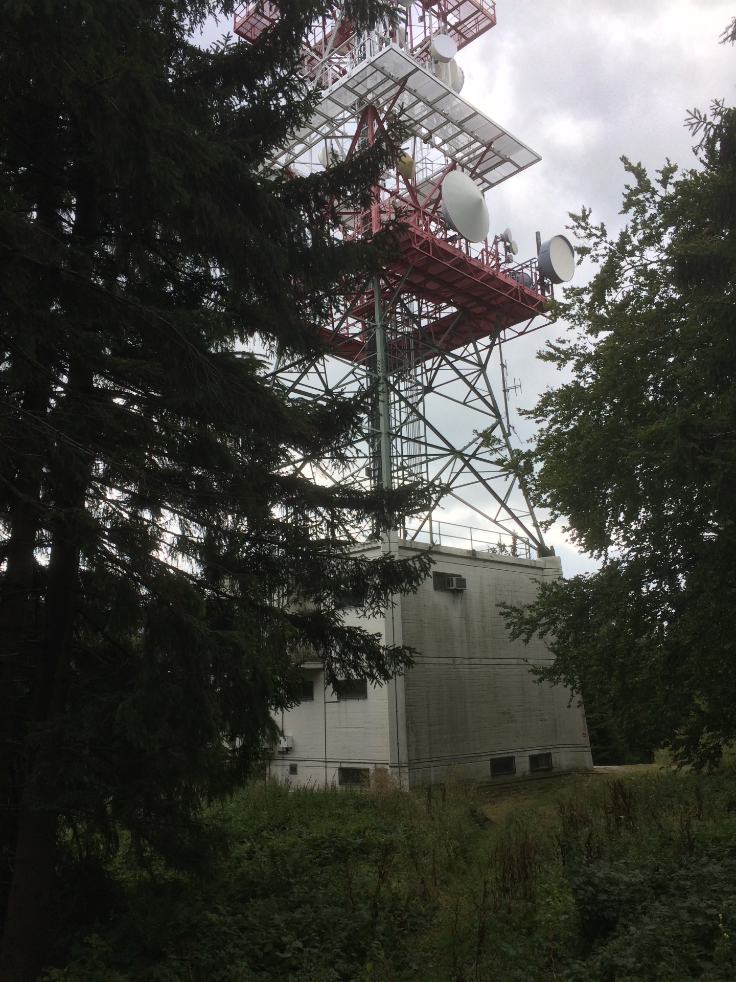 Transmitter on Hirschenstein