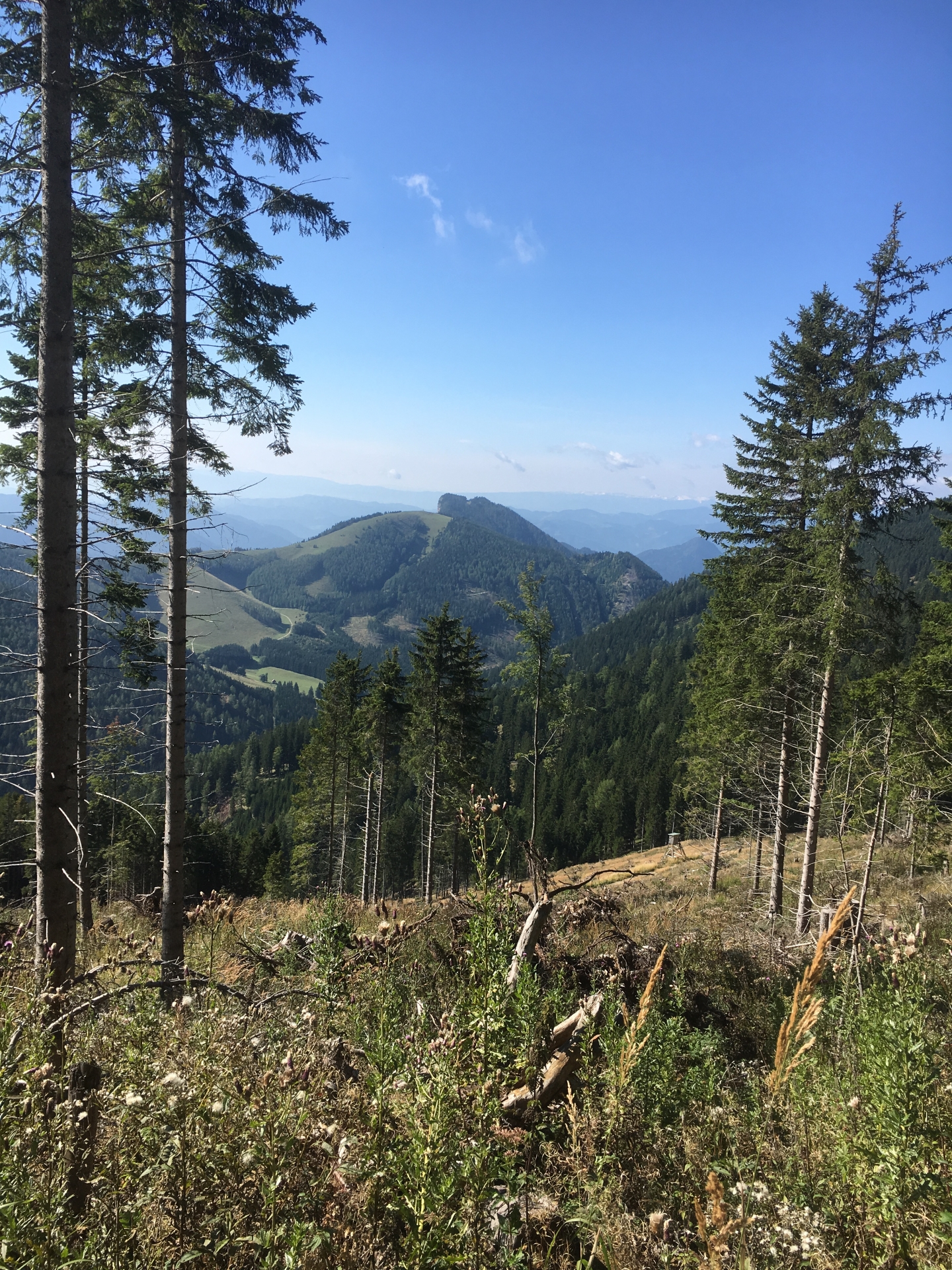 View to the Grazer Bergland