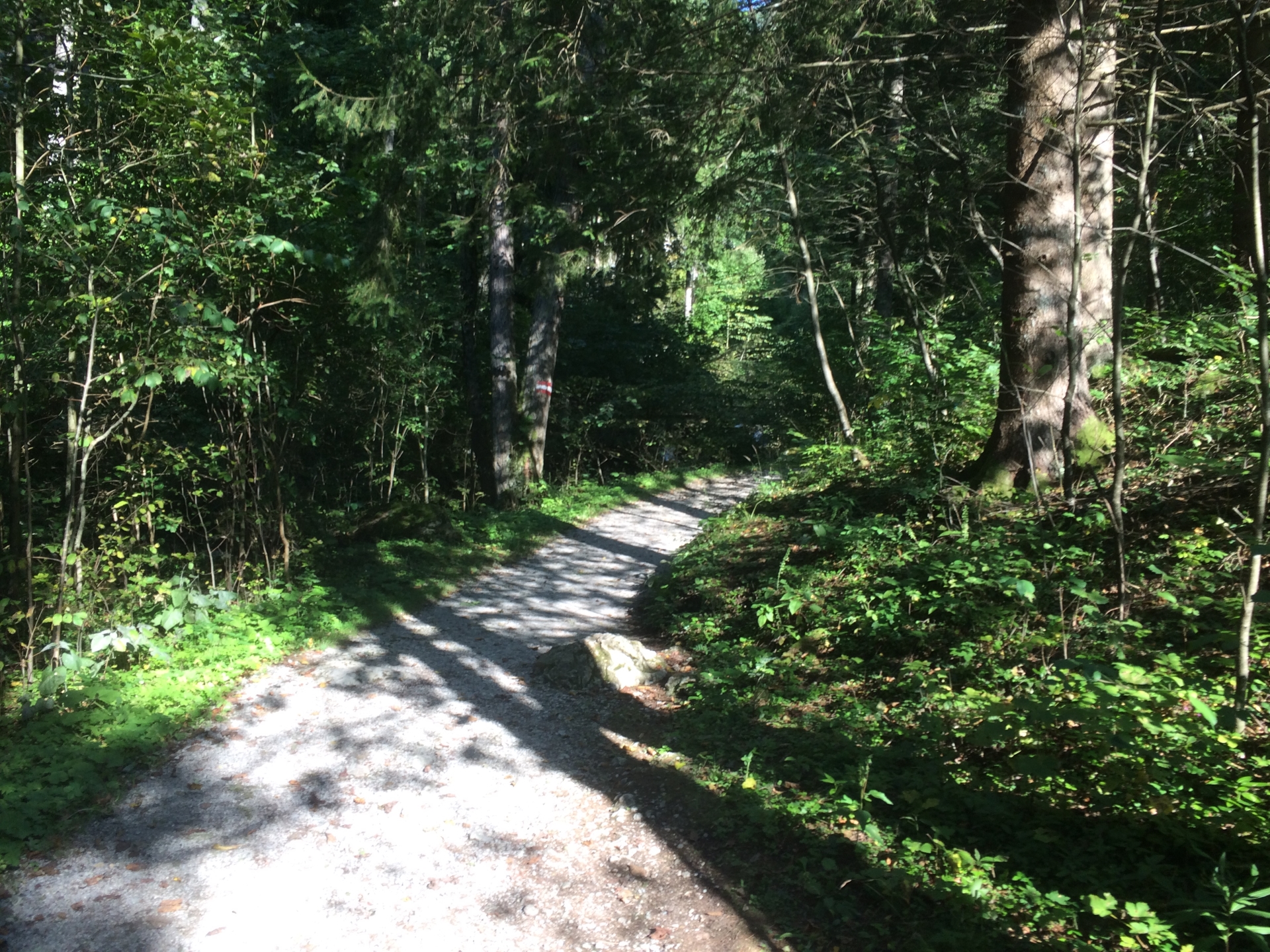 The Bärenschützklamm trail