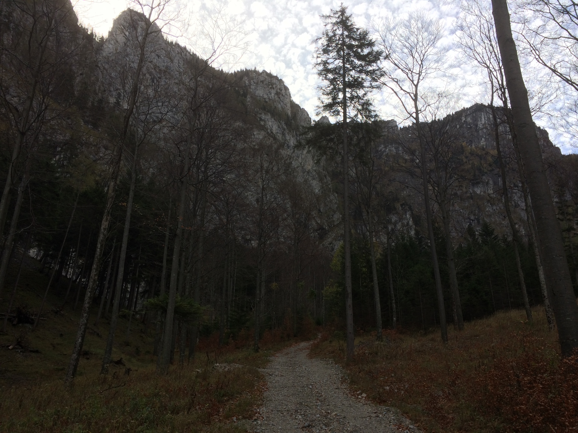 Trail through Höllental