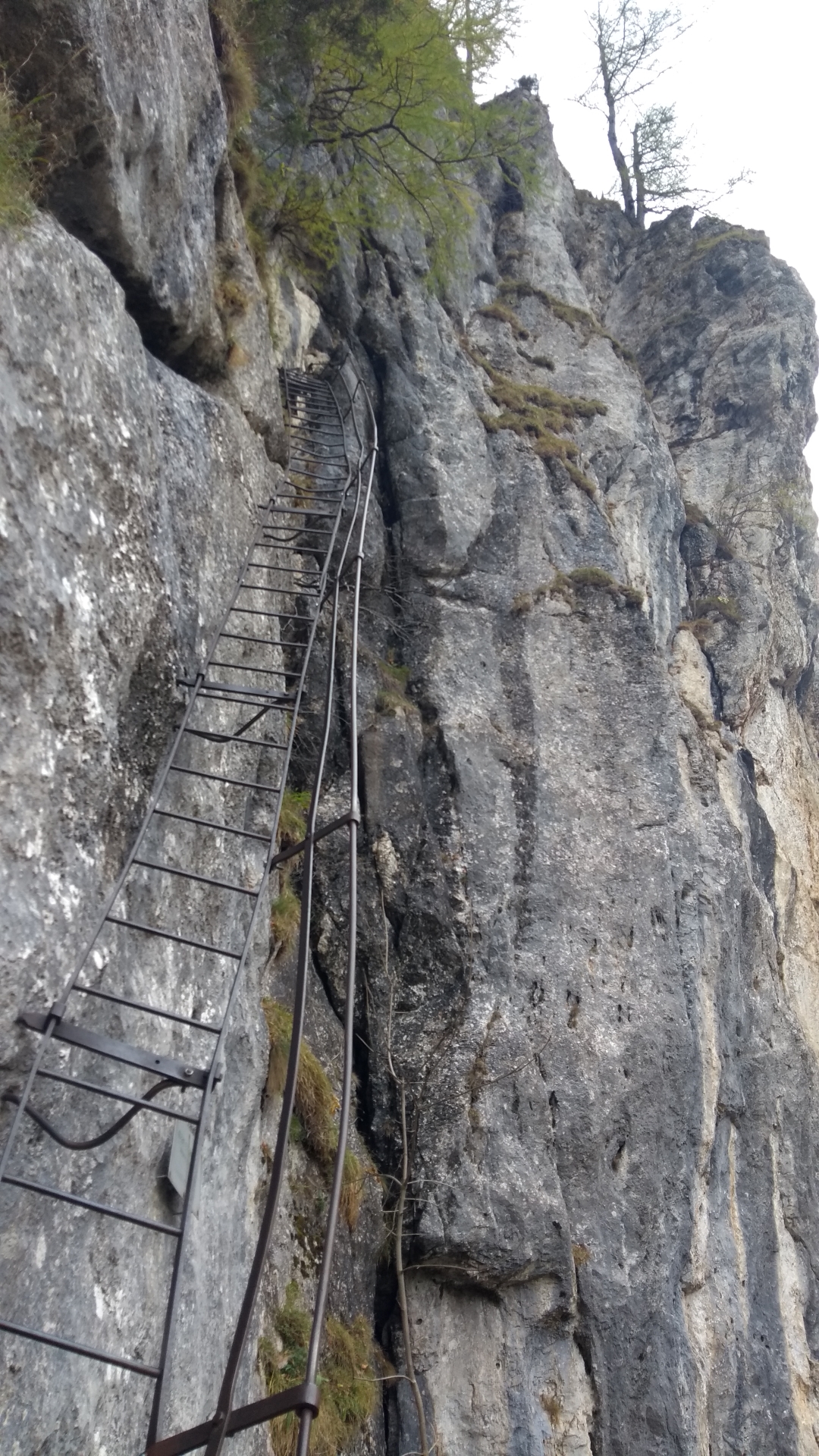 The long iron ladder marking the start of Alpenvereinssteig