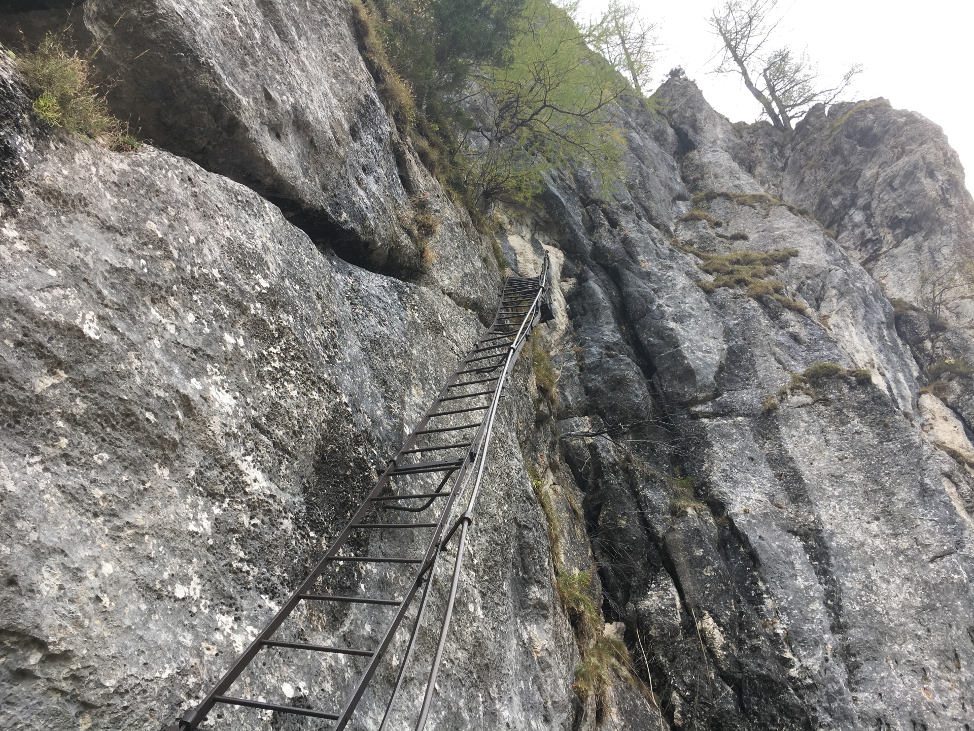 Iron ladder at the entrance of Alpenvereinssteig