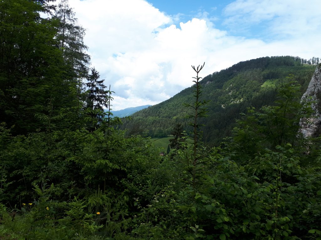 Towards Bärenschützklamm