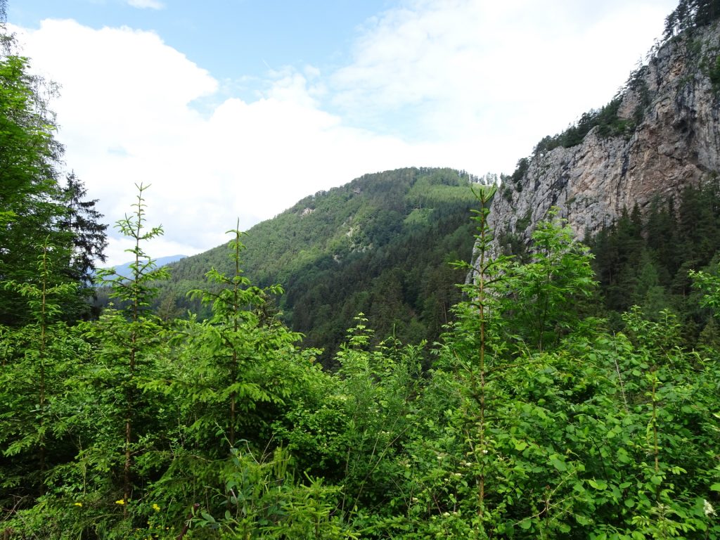 Towards Bärenschützklamm