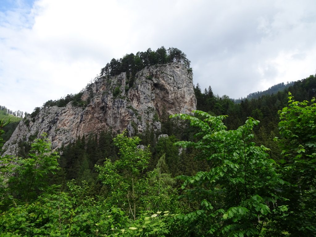 Towards Bärenschützklamm