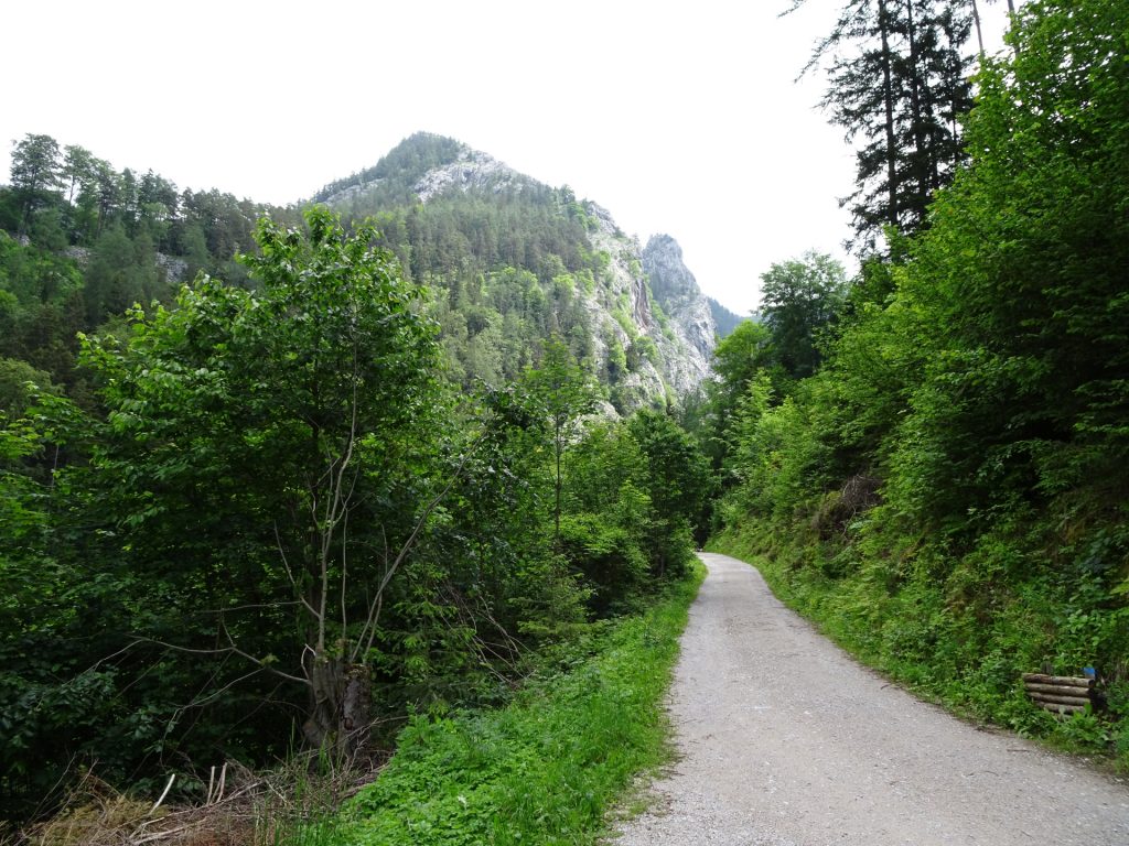 Towards Bärenschützklamm