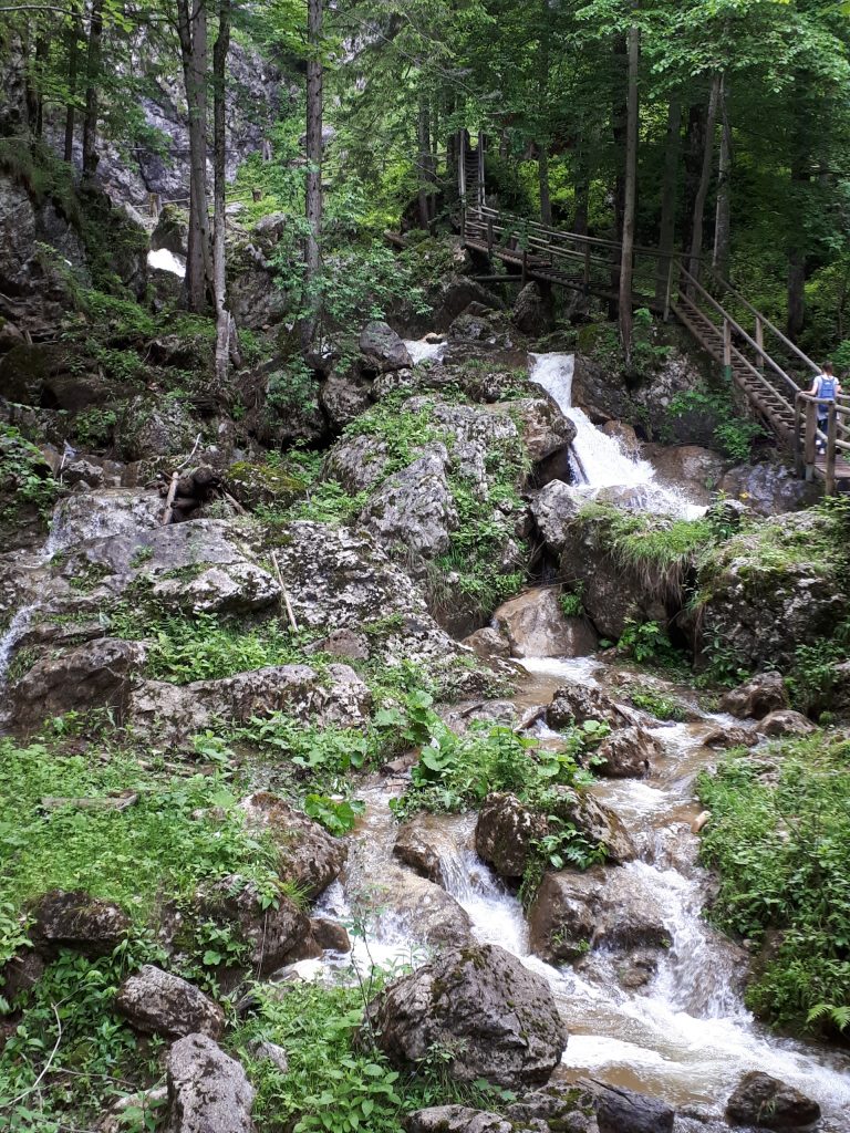 Bärenschützklamm