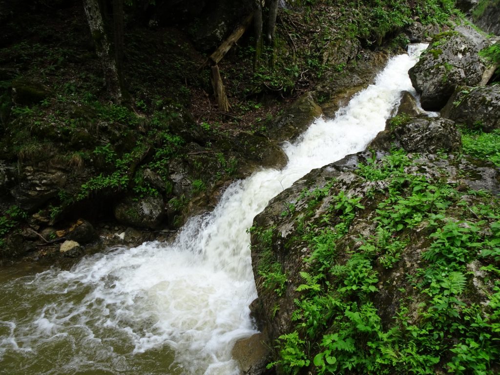 Bärenschützklamm