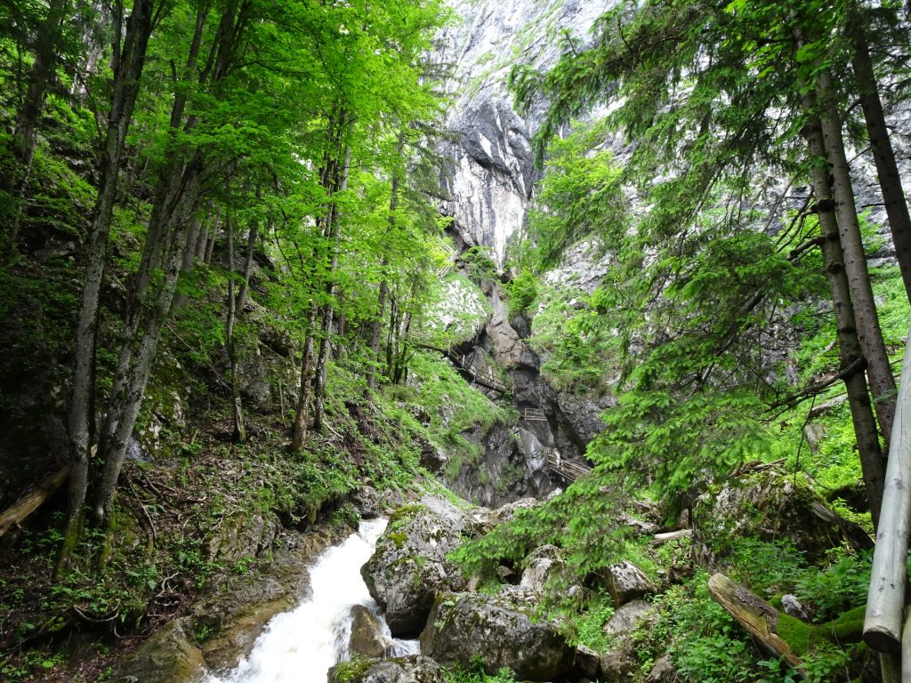 Bärenschützklamm