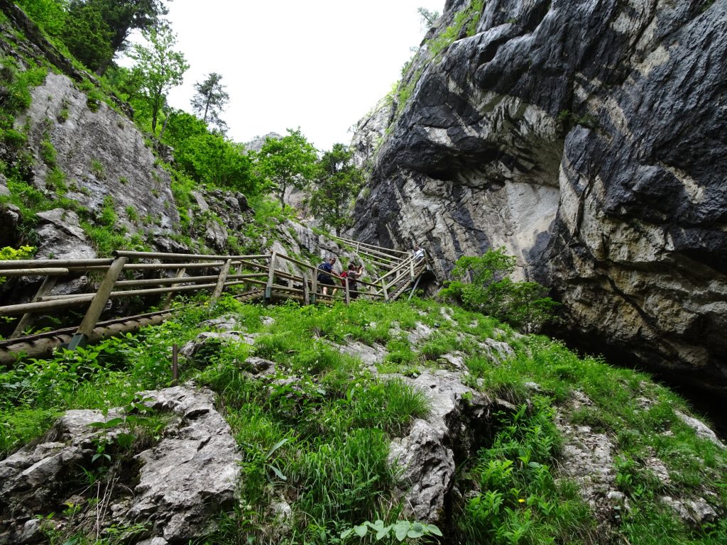 Bärenschützklamm