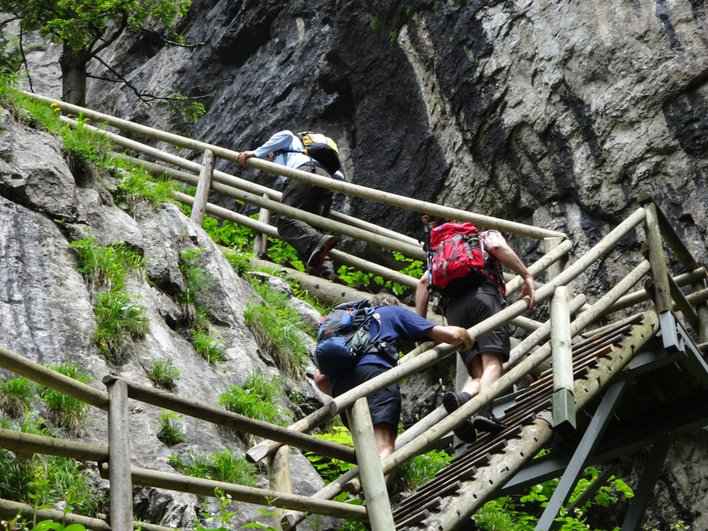 Robert, Hans and Bernhard on the steep ladder