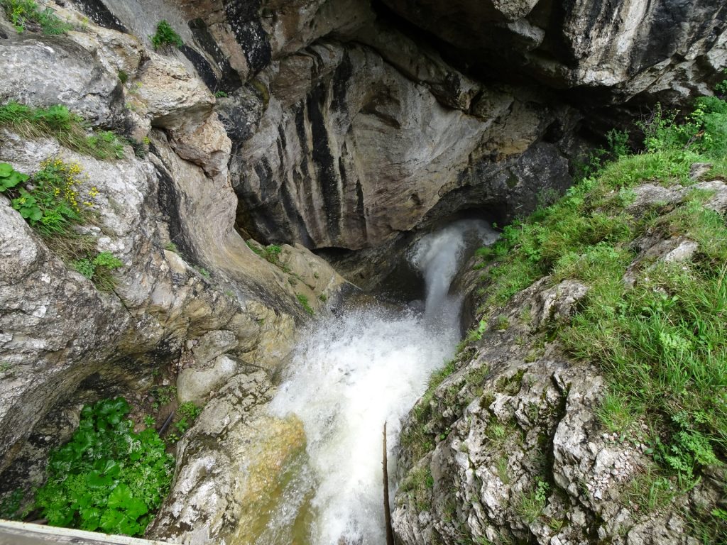 Bärenschützklamm