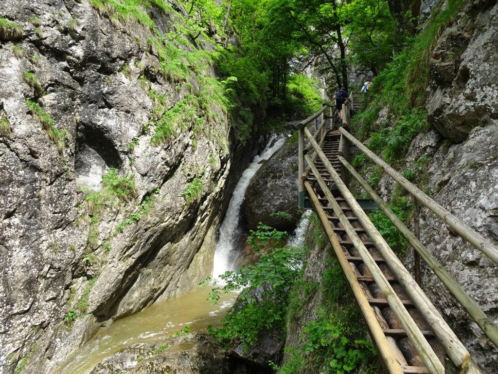 Bärenschützklamm