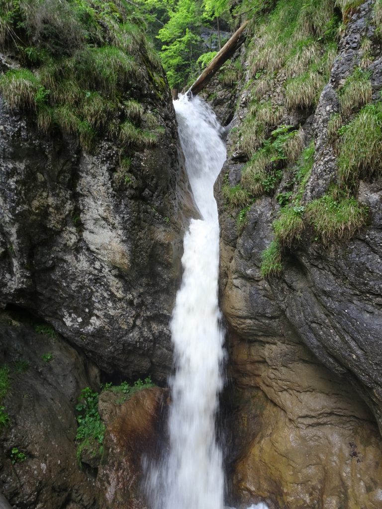 Bärenschützklamm