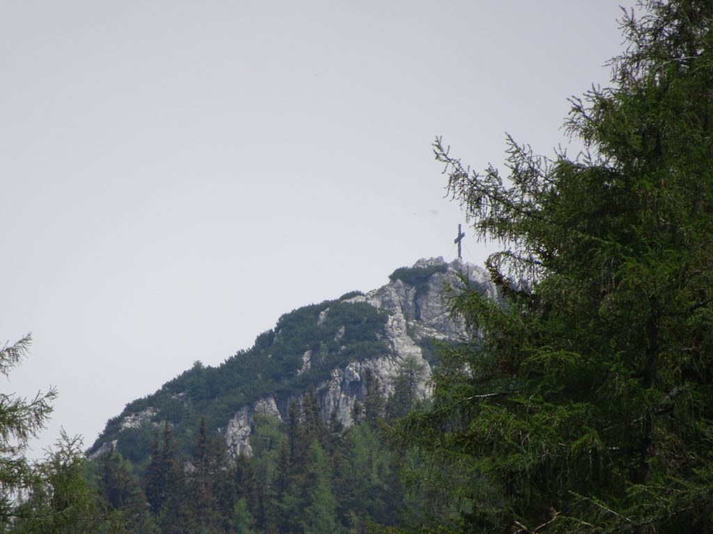 View to the top from Guter Hirte