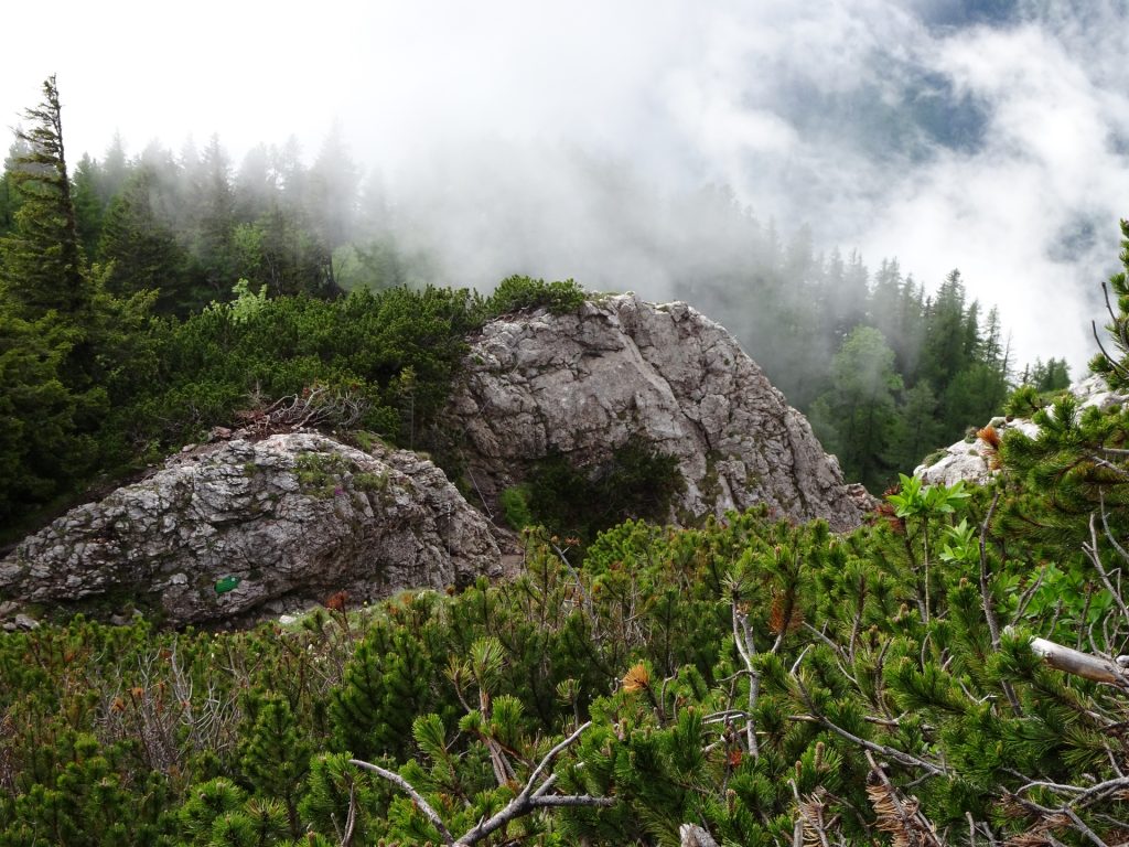 Exit of the via ferrata towards Hochlantsch