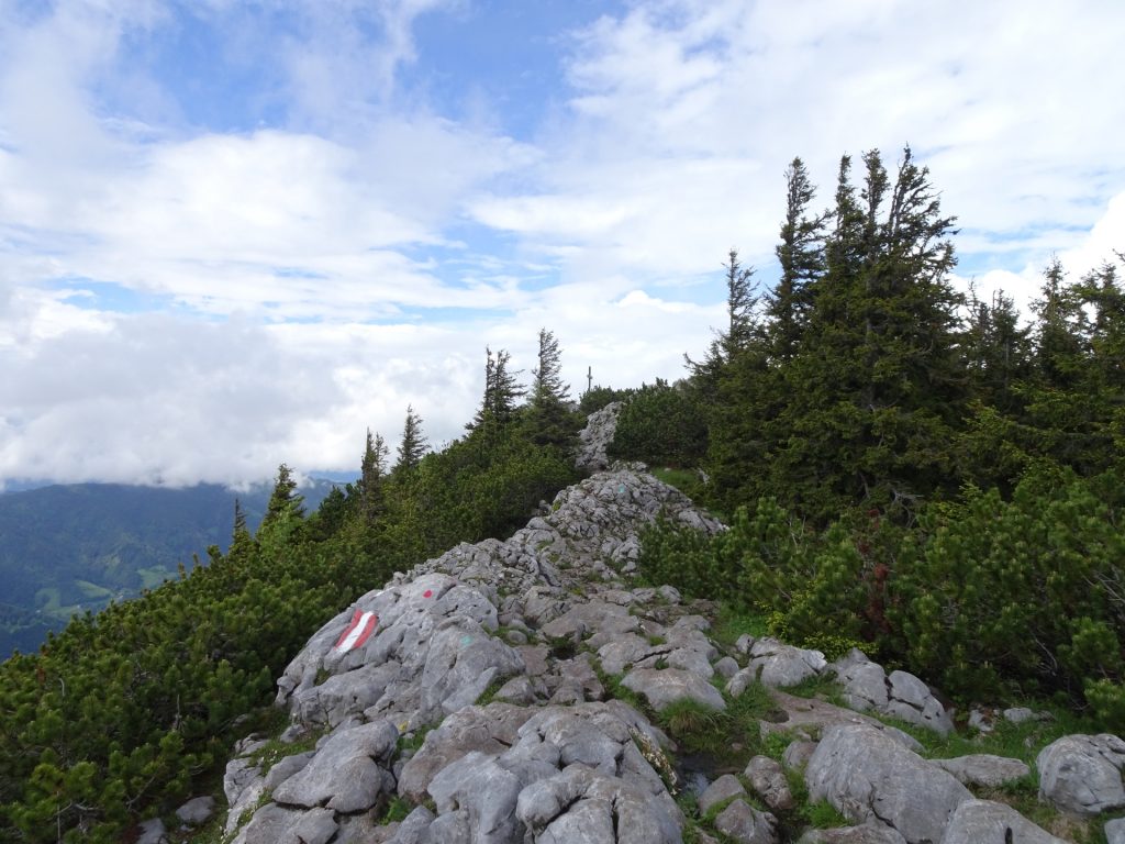 Trail towards Hochlantsch