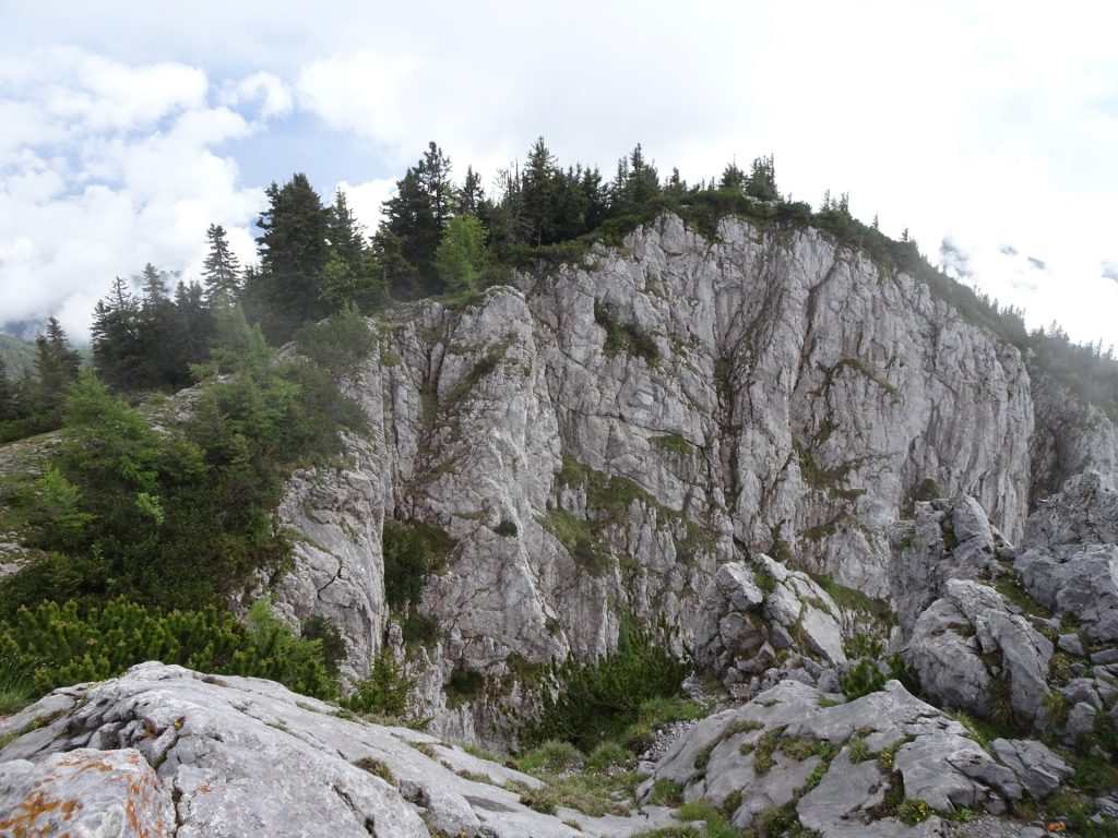 View towards the trail