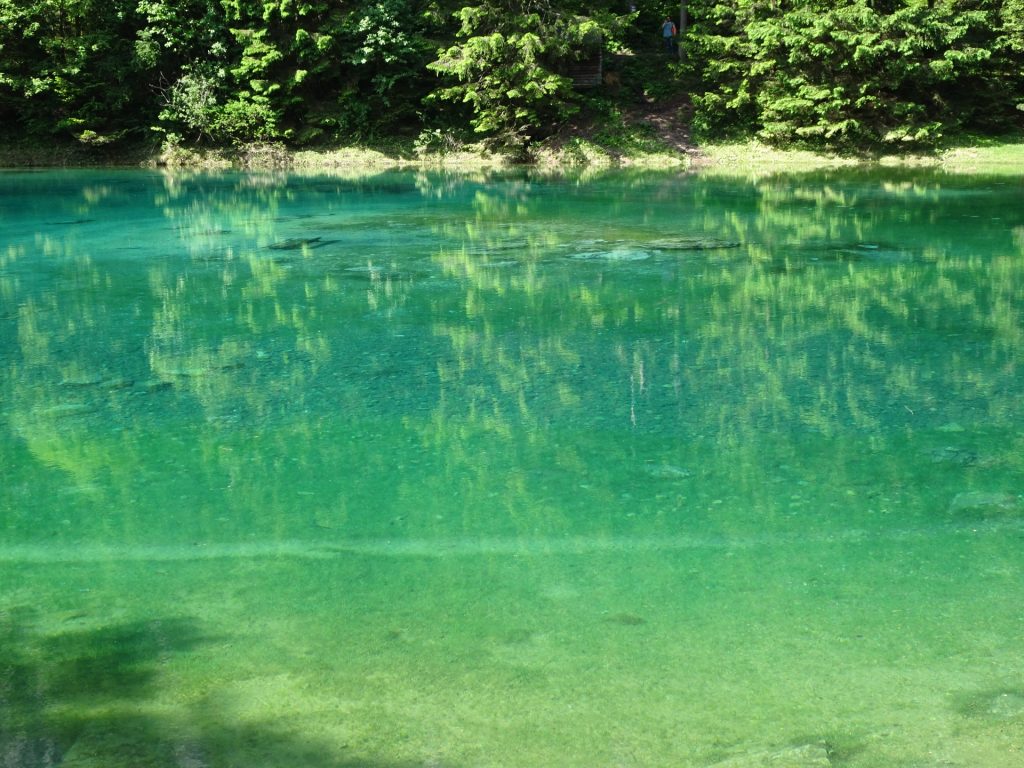 Clear water at Grüner See