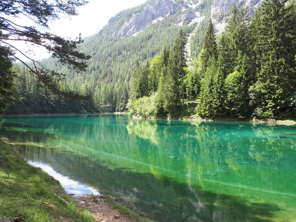 Grüner See