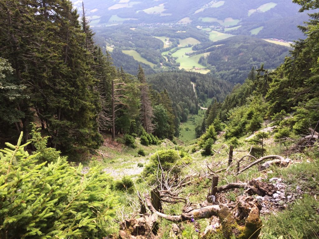 View from Törlweg
