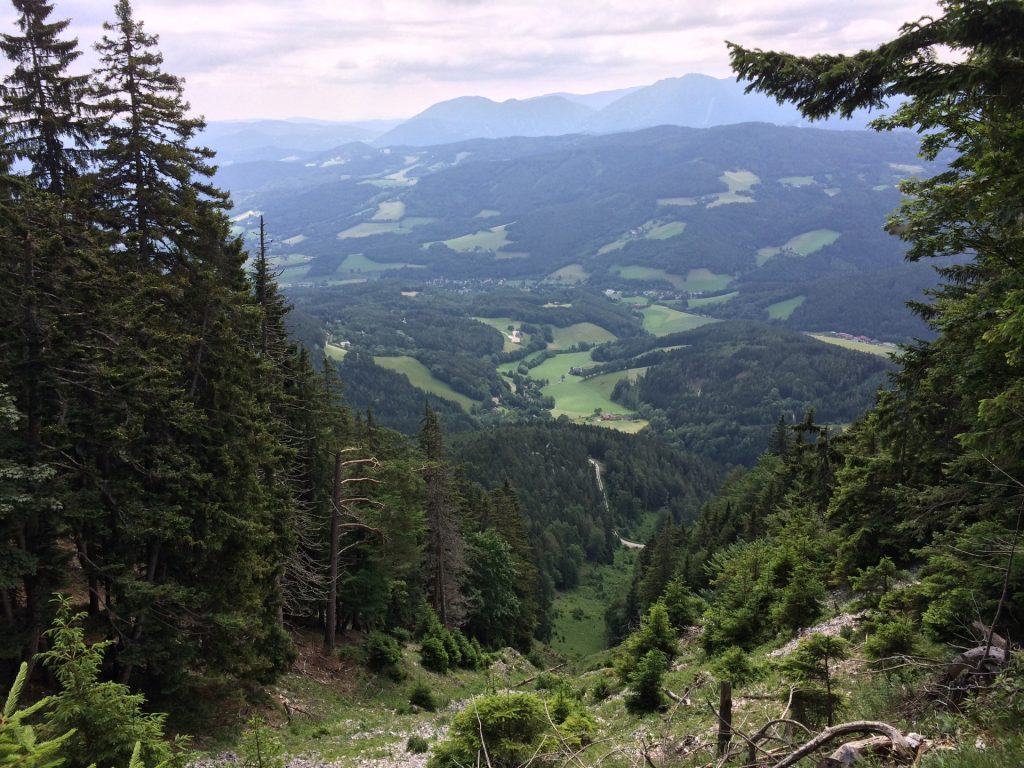 View from Törlweg