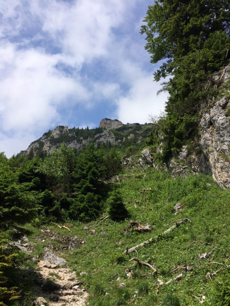 View upwards to Rax plateau