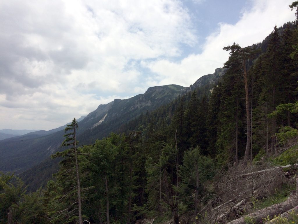 View back from Gsolhirnsteig