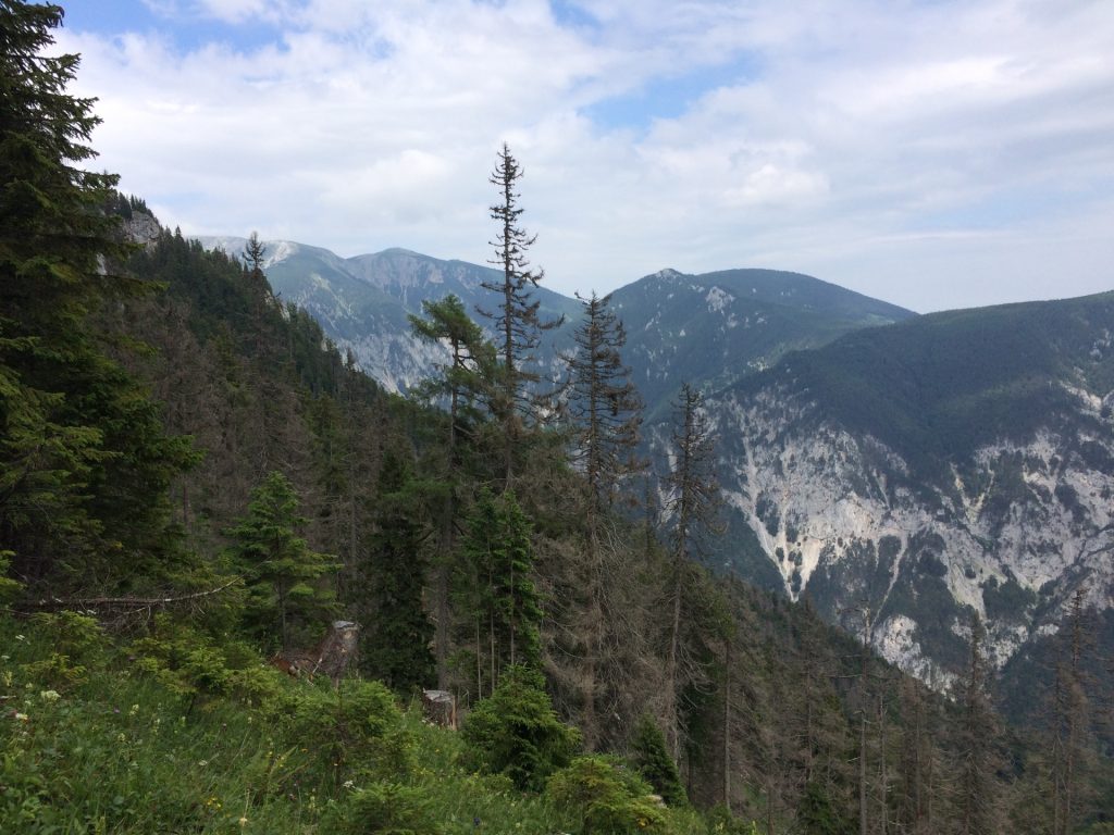 View from Gsolhirnsteig