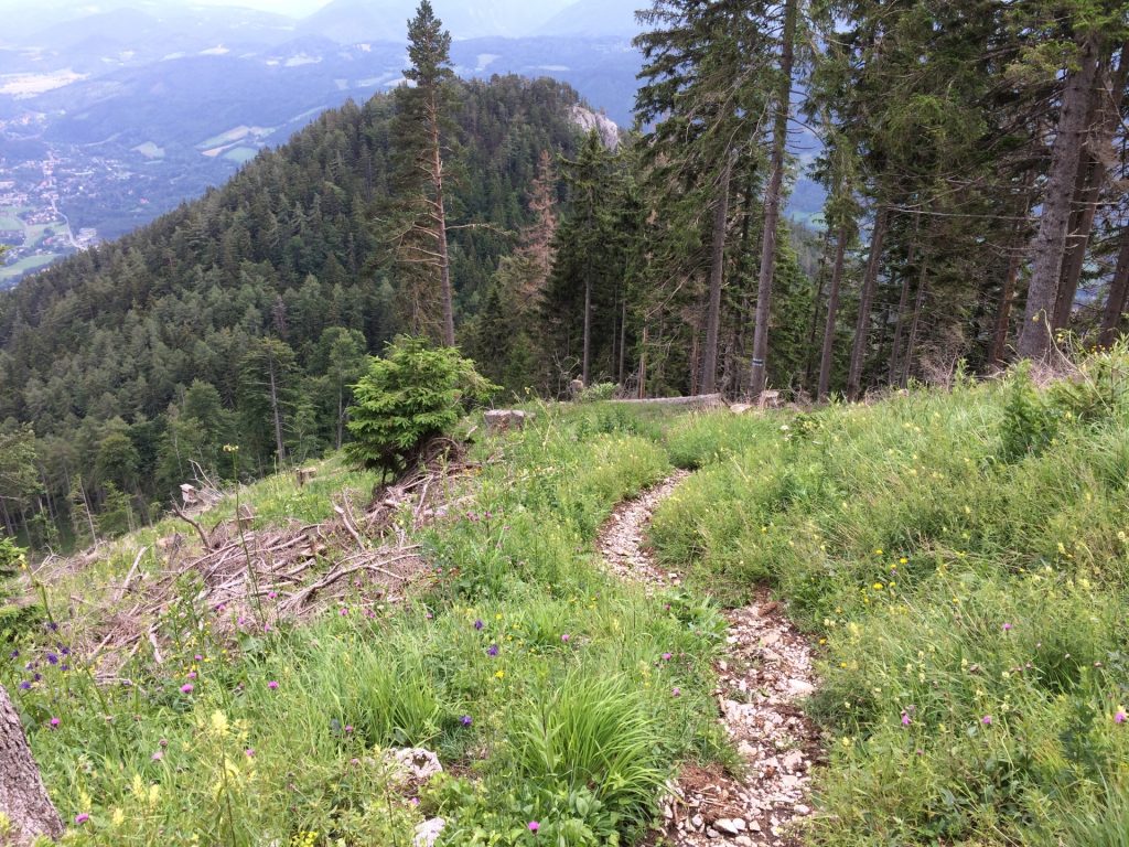 Gsolhirnsteig