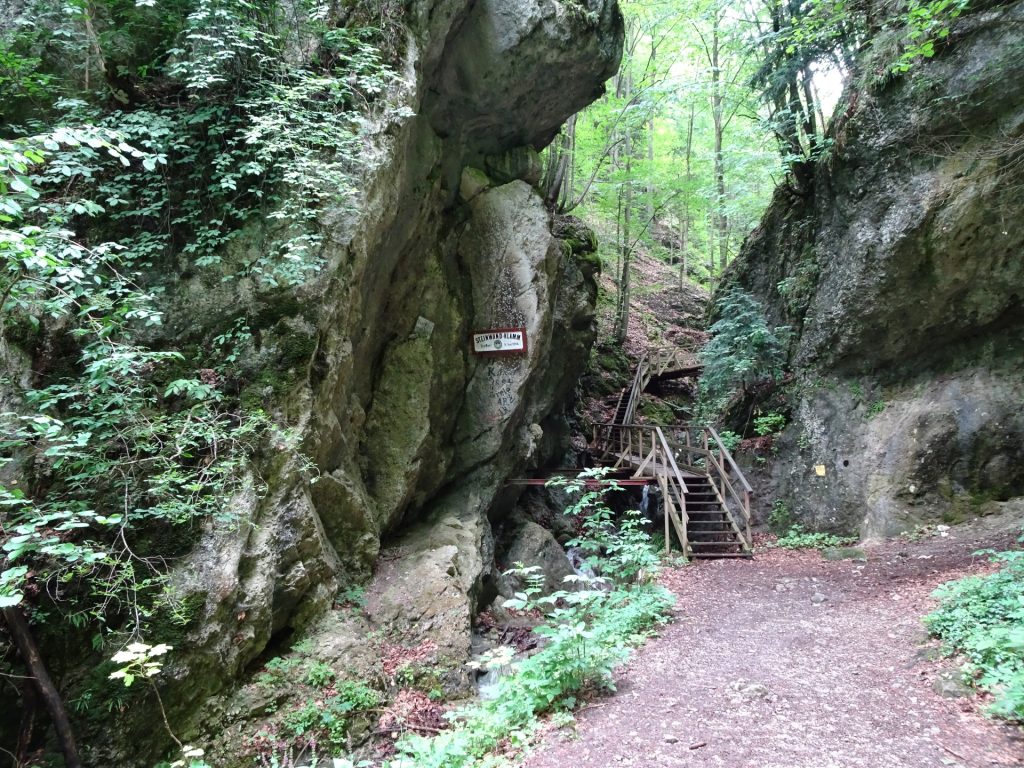 The Steinwandklamm gorge