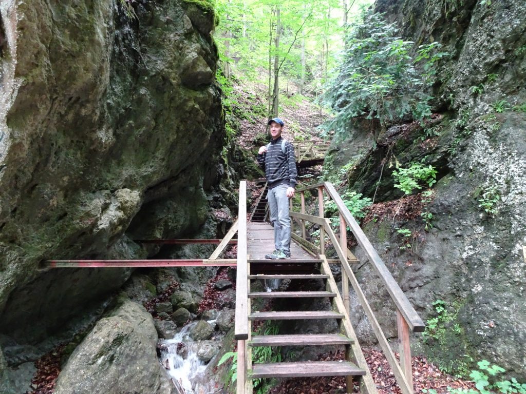 Wooden stairs leading through the gorge