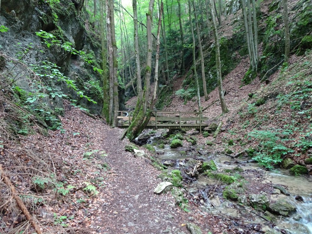 Trail in the Steinwandklamm