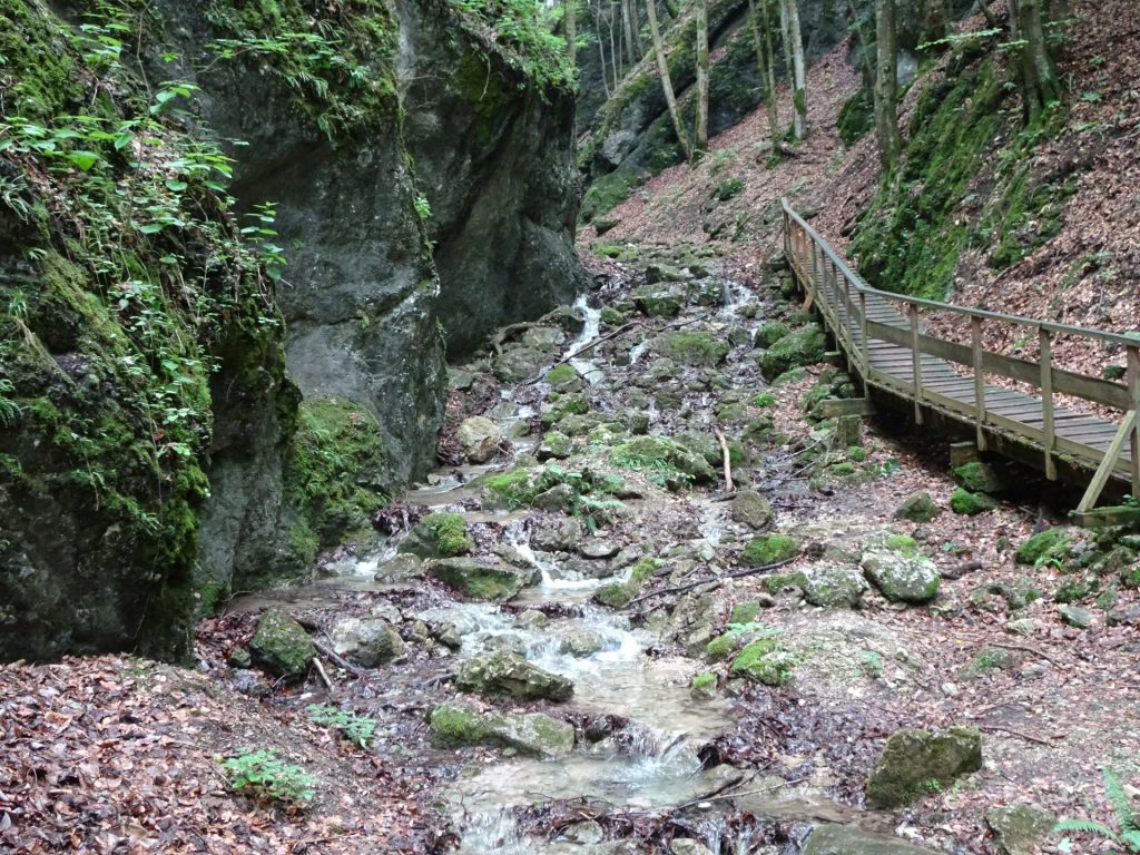 Trail next to the small river