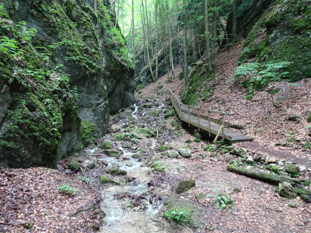 Trail next through the small river