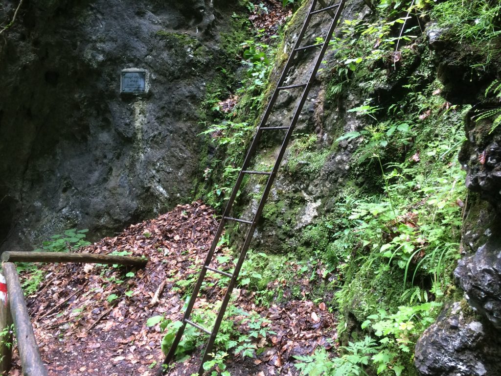 First iron ladder of the Rudolf Decker Steig