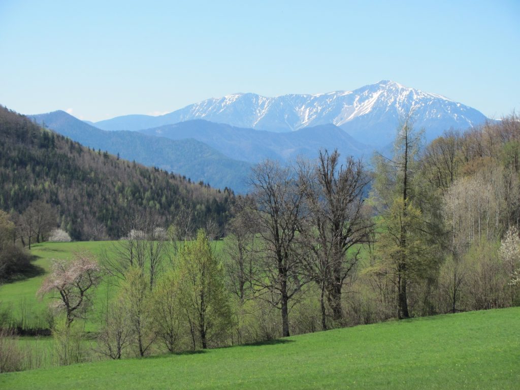 View to Schneeberg (from Gasthaus Jagasitz)