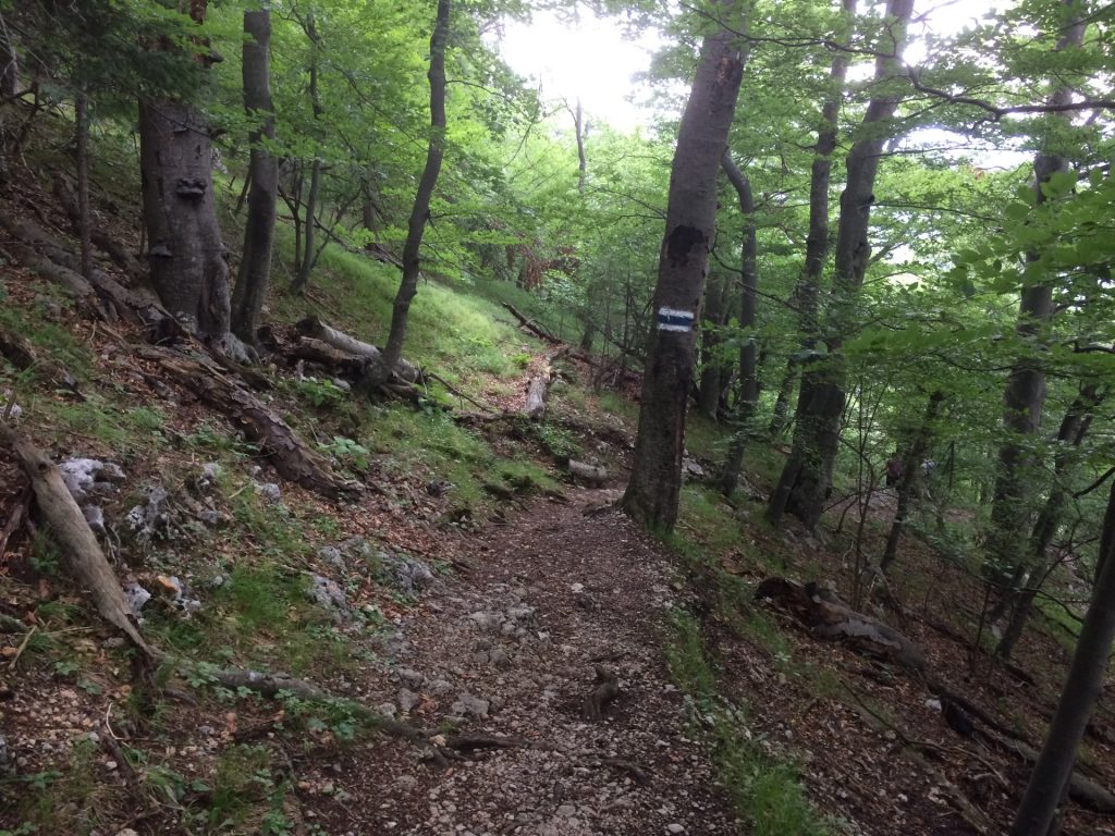 Trail towards Myrafälle