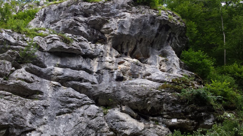 Via ferrata park at the Weichtalhaus