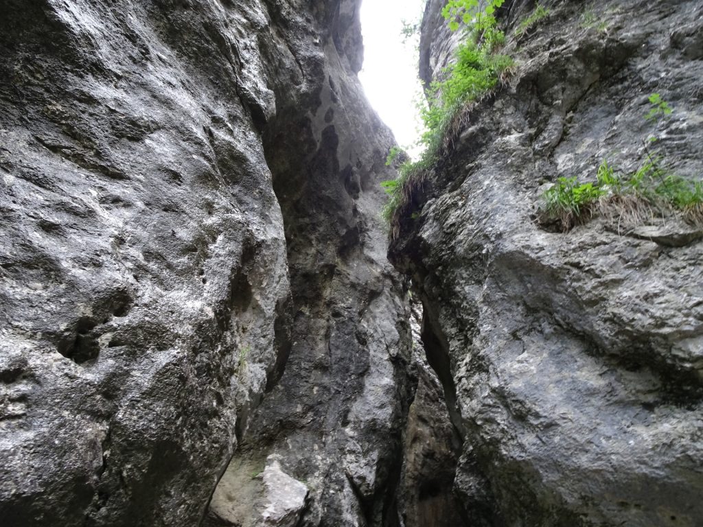 Inside the gorge