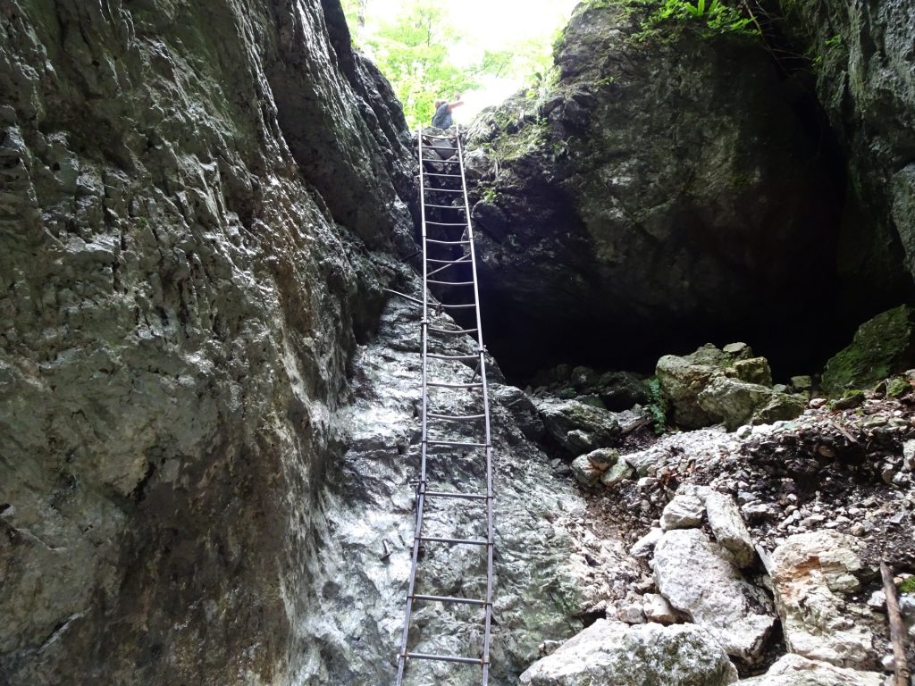 The long iron ladder at the end of the first gorge