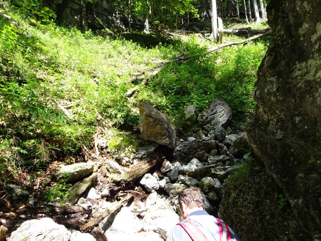 Walking along the trail