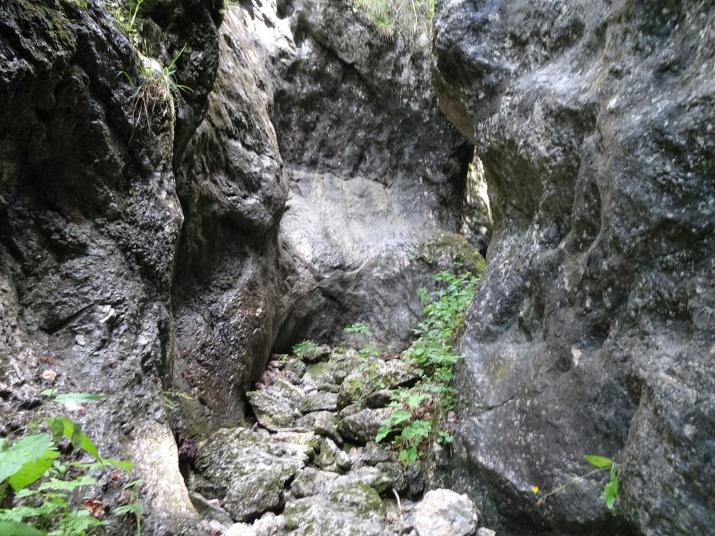 Last part of the Weichtalklamm trail