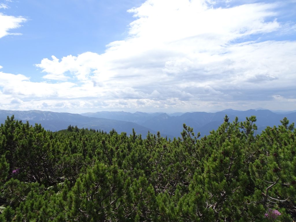 Trail towards Schneeberg